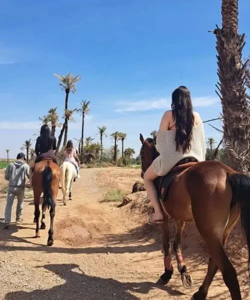 Cavalier à cheval dans la Palmeraie de Marrakech à la lumière dorée