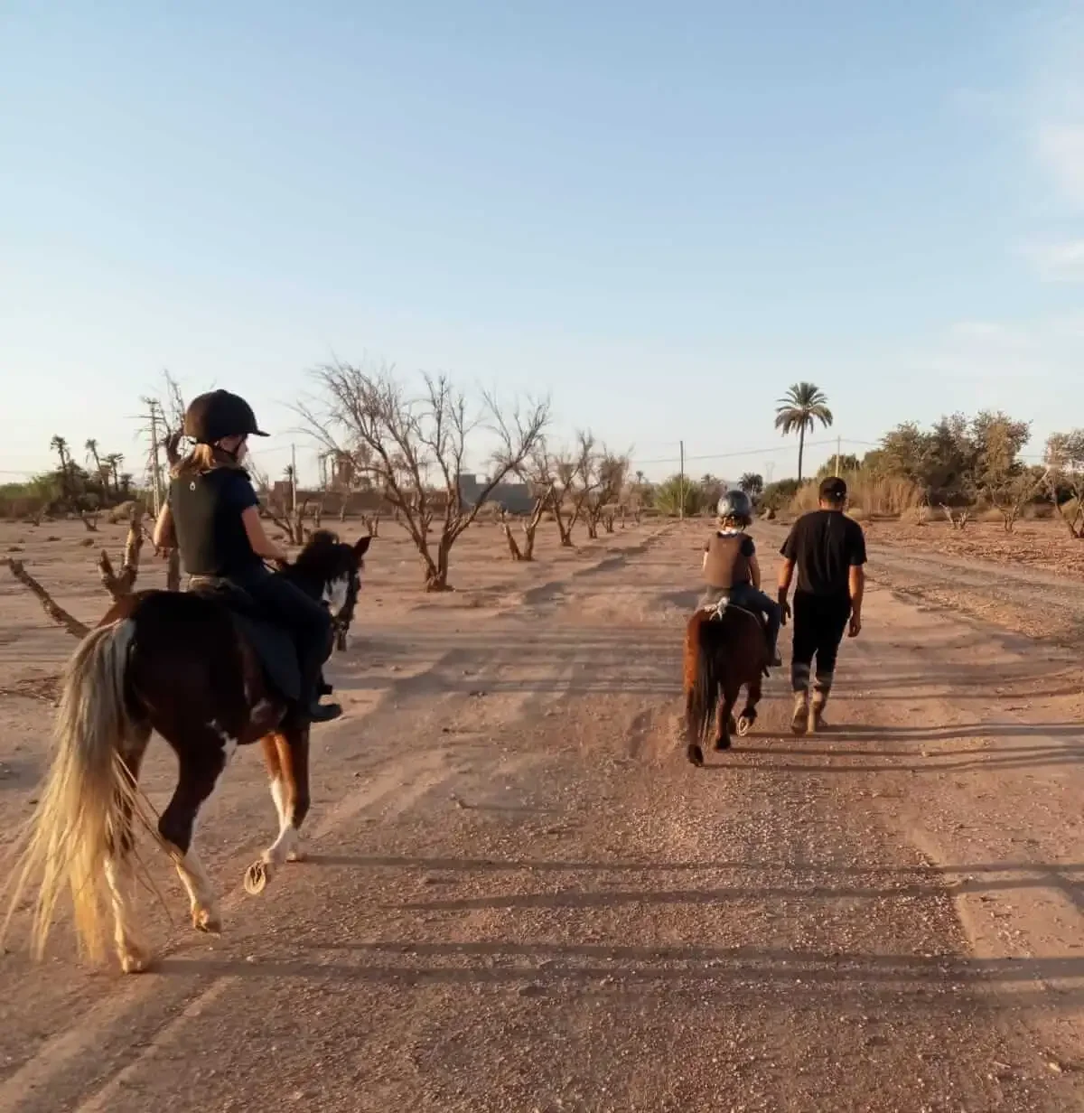 Cavalier à cheval dans la Palmeraie de Marrakech à la lumière dorée