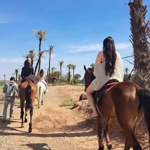 Cavalier à cheval dans la Palmeraie de Marrakech à la lumière dorée