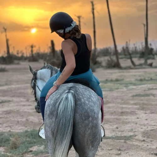 Cavalier à cheval dans la Palmeraie de Marrakech à la lumière dorée