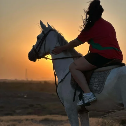 Cavalier à cheval dans la Palmeraie de Marrakech à la lumière dorée