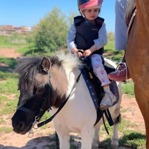 poney-balade-scaled.webp
